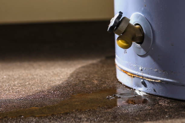Best Water damage contractors near me  in Ol, LA