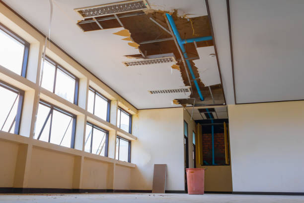 Best Local water damage restoration  in Ol, LA