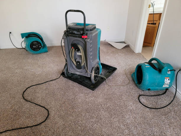 Best Ceiling water damage repair  in Ol, LA