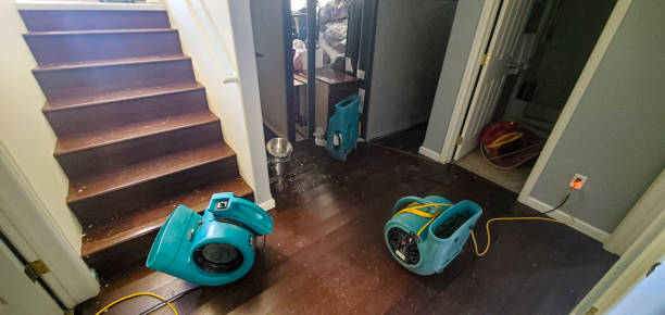 Best Carpet water damage restoration  in Ol, LA