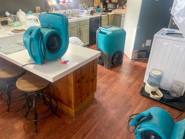 Best Water damage restoration near me  in Ol, LA