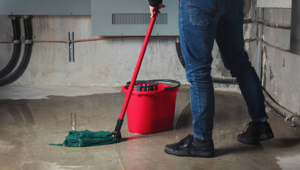 Best Ceiling water damage repair  in Ol, LA