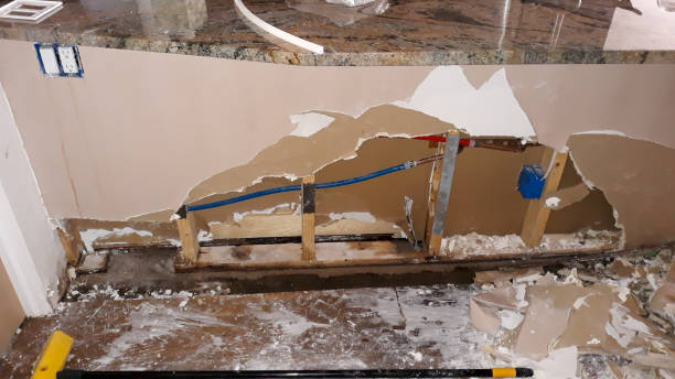 Best 24/7 water damage repair  in Ol, LA