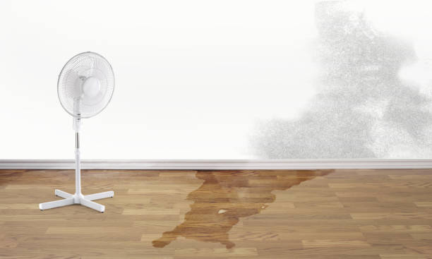 Best Sewage cleanup and water damage restoration  in Ol, LA