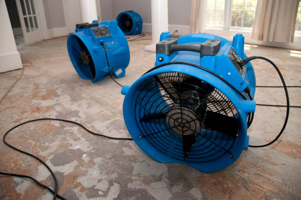 Best Carpet water damage restoration  in Ol, LA