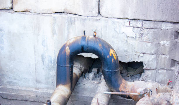 Best Professional water damage repair  in Ol, LA